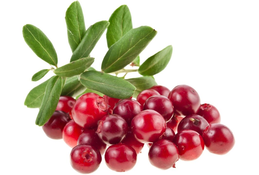 cranberry voor de behandeling van blaasontsteking