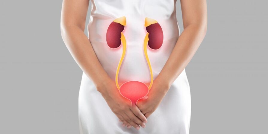 Vrouwelijke cystitis is een ontsteking die optreedt in de weefsels van de blaas